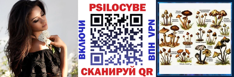 Псилоцибиновые грибы GOLDEN TEACHER  Ессентуки 